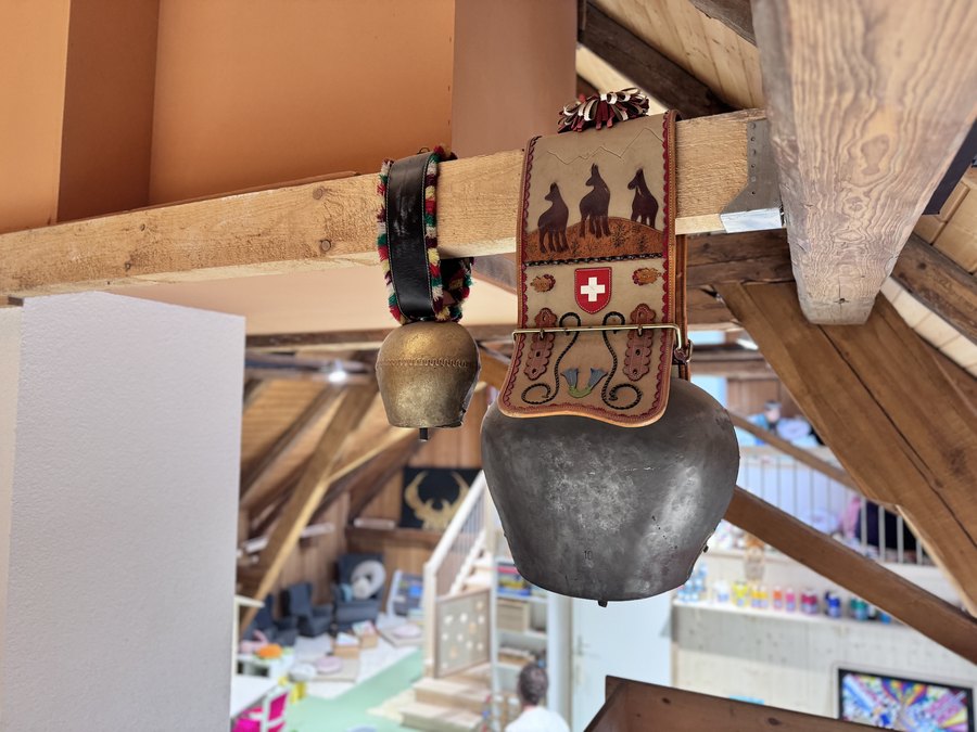 Eindruck aus dem Frechdachs Zuzwil 9